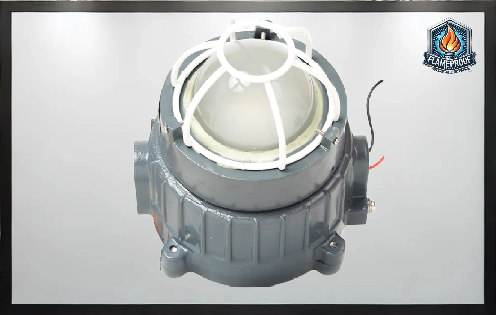 Explosion Proof Light 8