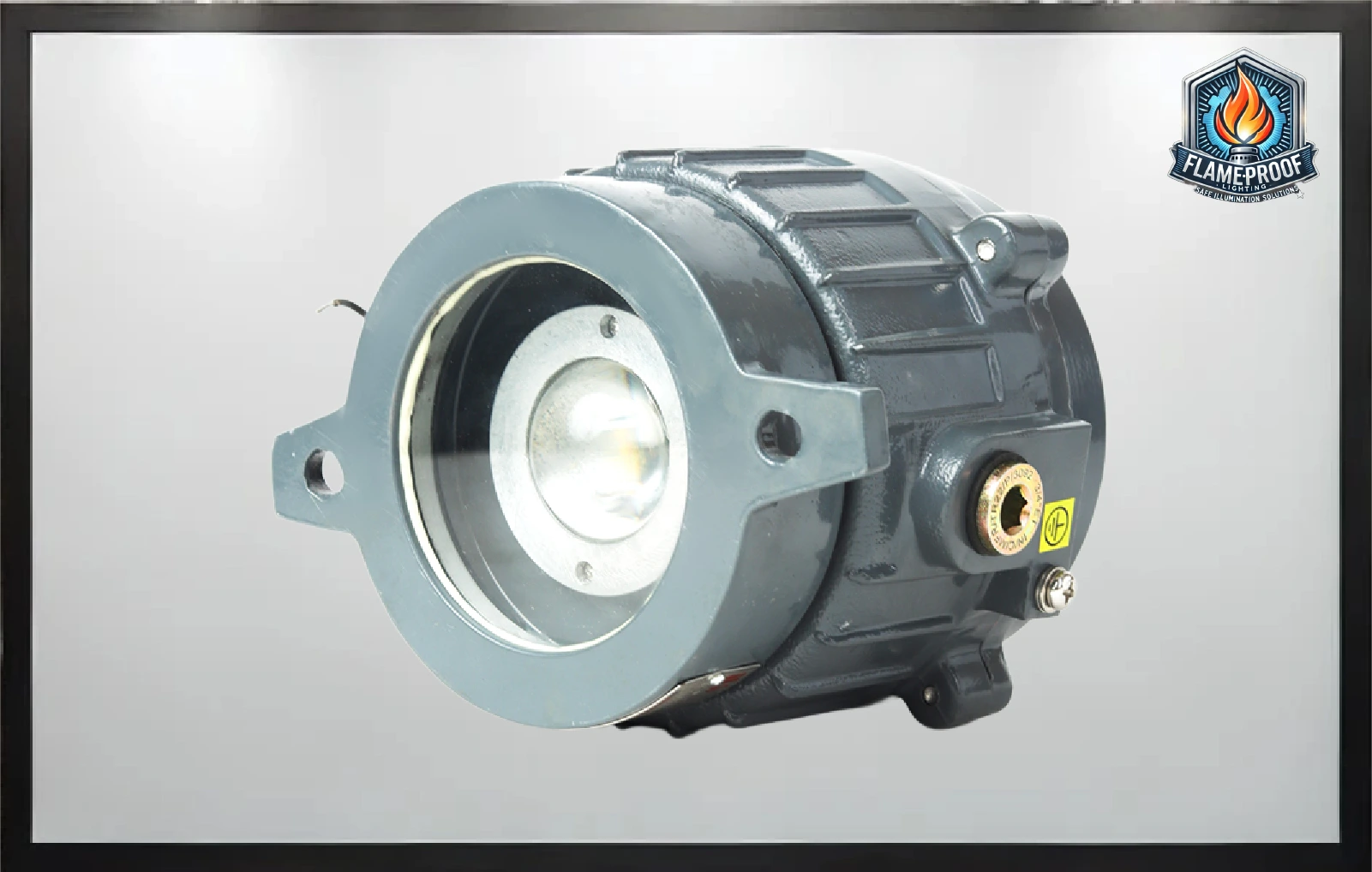 Explosion Proof Light 8