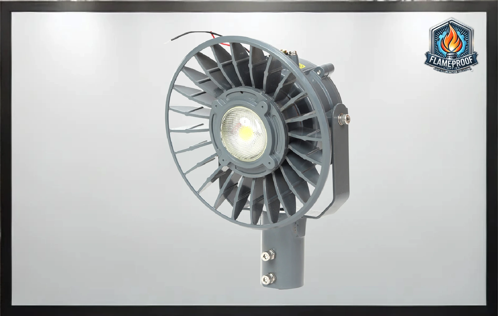 Explosion Proof Light 5