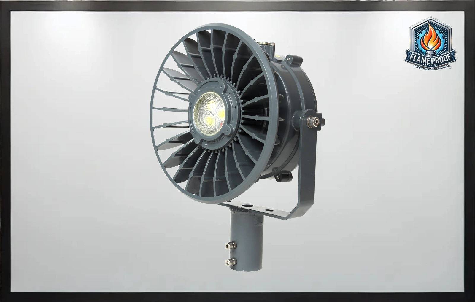 Explosion Proof Light 6