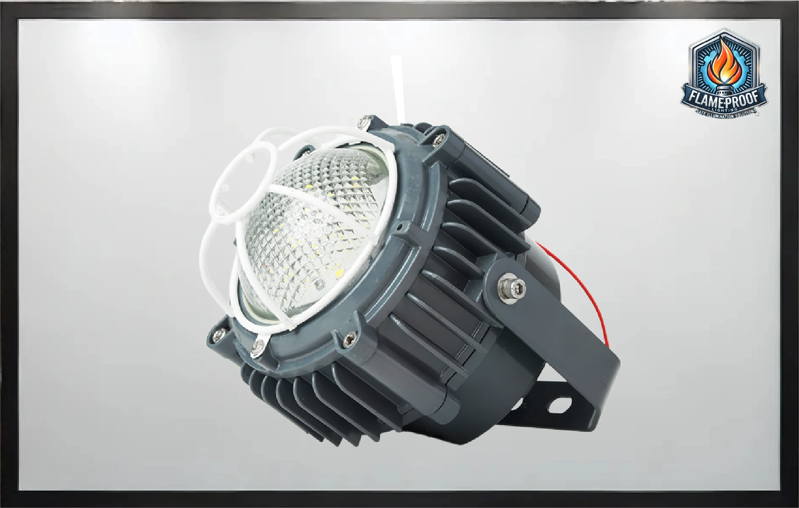 Explosion Proof Light 4